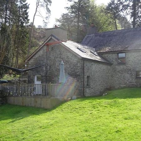 Blaentwrch Farmhouse Llanddewi-Brefi Exterior photo