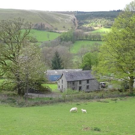 Blaentwrch Farmhouse Llanddewi-Brefi Exterior photo